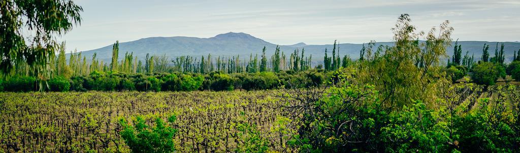 Finca La Encantada San Rafael  Eksteriør bilde