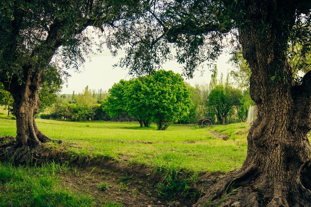 Finca La Encantada San Rafael  Eksteriør bilde